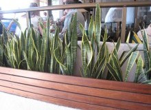 Kwikfynd Indoor Planting
ballarat