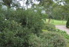 Ballaratresidential-landscaping-35.jpg; ?>
