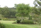 Ballaratresidential-landscaping-40.jpg; ?>