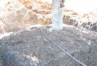 Ballarattree-transplanting-4.jpg; ?>